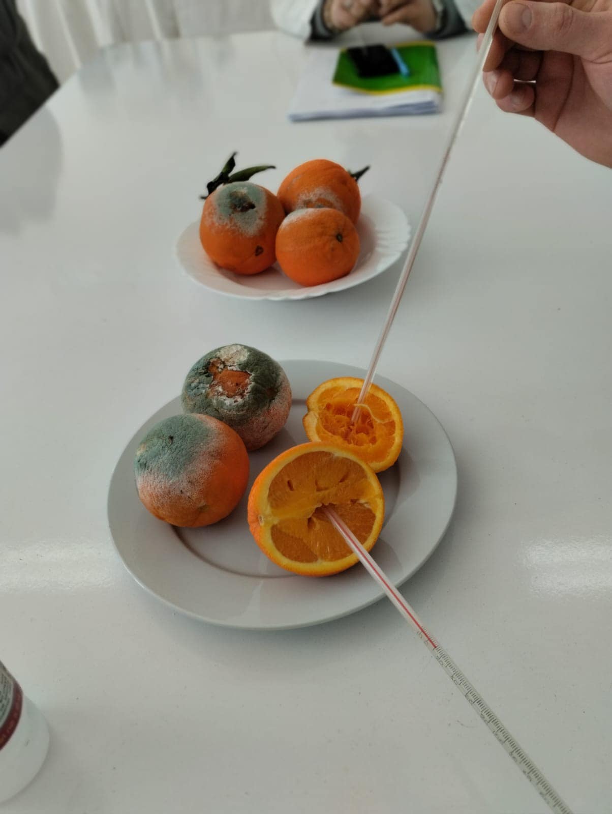 487302573_1178018334112838_6806867234724781977_n