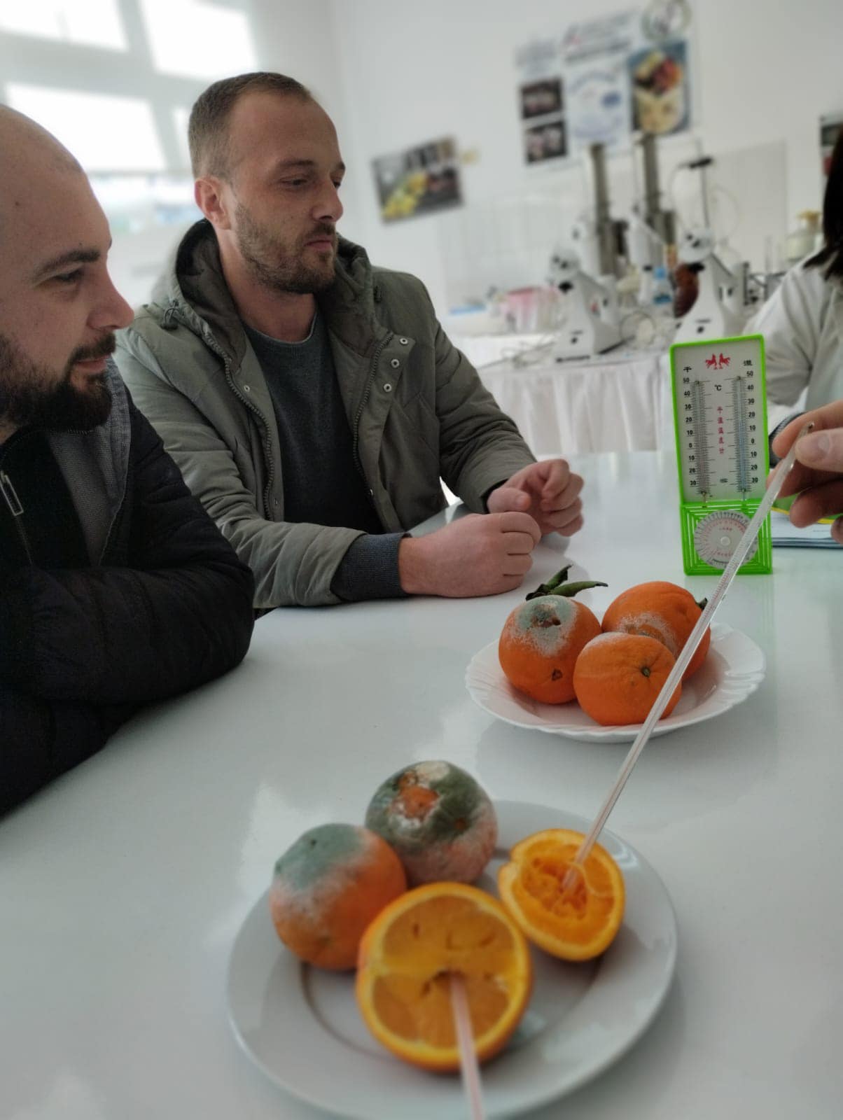 487495960_1178018437446161_1776592837154525961_n